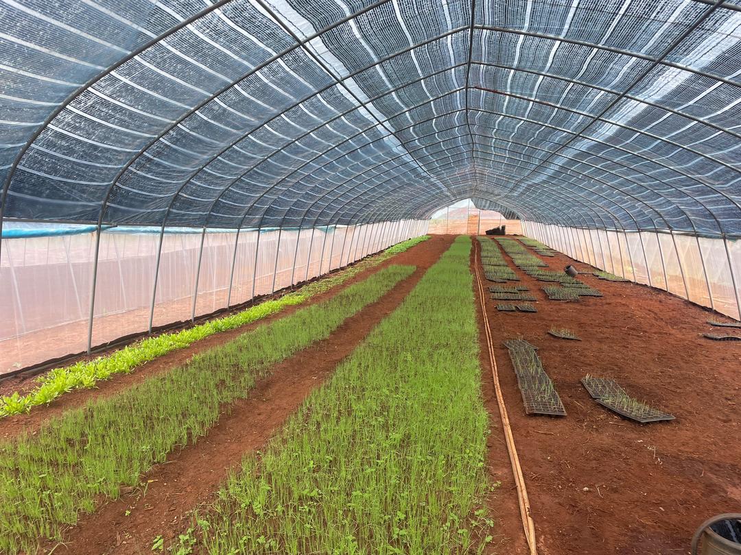 Farming & Cultivation
