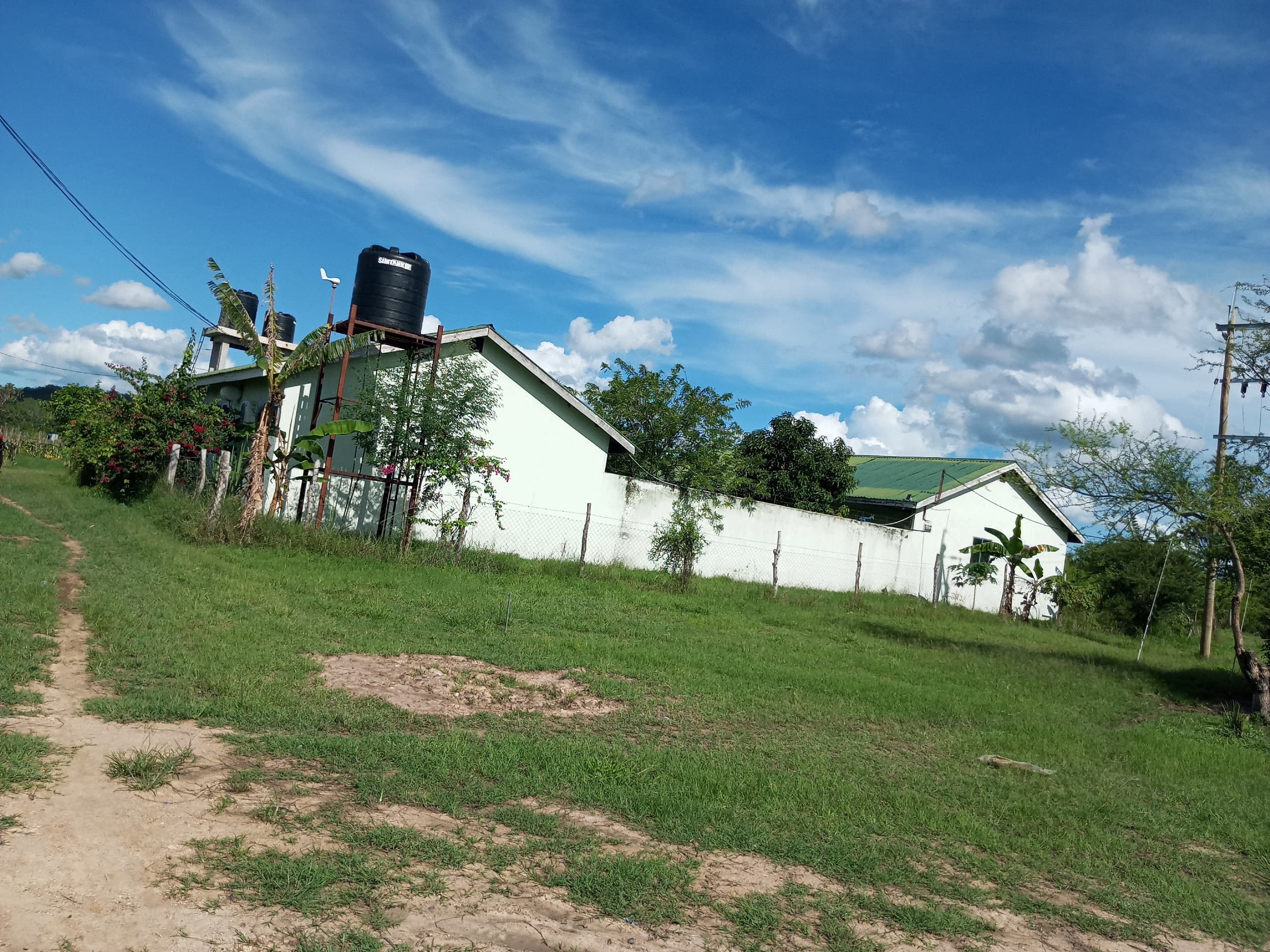 Agro-Processing – Value