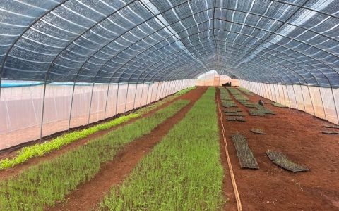 Farming & Cultivation